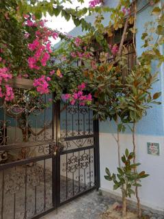 Casa Magnolia Boutique Rooms - Kusadası - 9