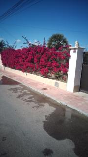 Casa El Flamenco Zoutmeer Torrevieja - Torrevieja - 1