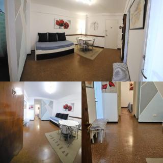 Departamento zona centro MDQ - Mar del Plata - 9
