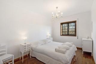 Mira Holidays - Mira - 1