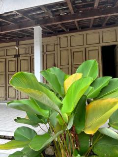 Omah Tabon Living Space - Pakem - 5
