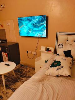 Executive Studio EBJ APARTMENTS - Nairobi - 3