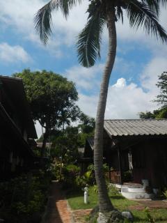 Sunrise Bungalow - Lamai - 1