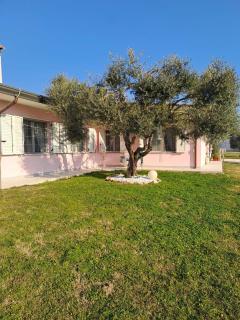 Maison Valentina - Marendole - 3