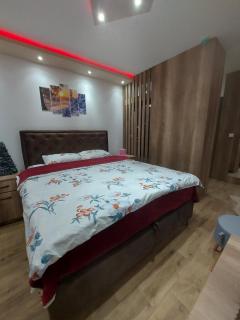 Apartman Lela - Kopaonik - 8