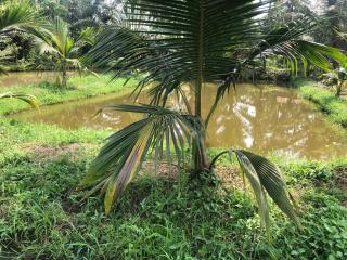 Badnas Agro tour - - 5