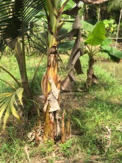 Badnas Agro tour - - 1