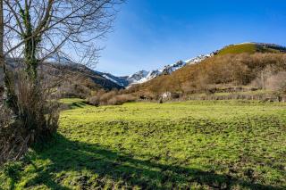 Valle de Bueida El Bosque - Bucida - 7