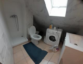 Appart 2 pièces sous les combles - Schiltigheim - 1