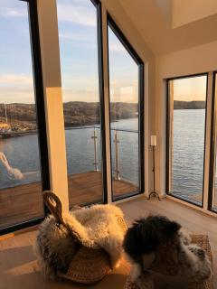 Modern seaside holiday home - Bømlo - 1