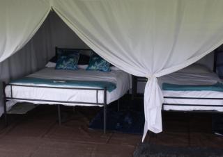 Mousley House Farm Campsite and Glamping - Warwick - 6