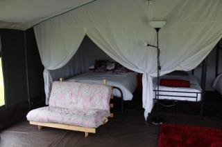 Mousley House Farm Campsite and Glamping - Warwick - 5