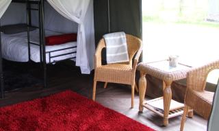 Mousley House Farm Campsite and Glamping - Warwick - 4