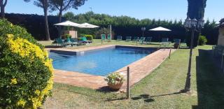 VILLA VITELLINO - Castiglione del Lago - 7