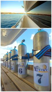 Bella Liveaboard - Sharm el Sheikh - 8