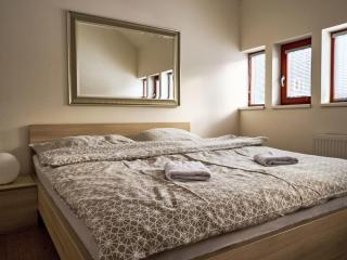 Chalet Harrachov 665 by Interhome - 7