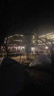 Basecamp Manali - 4