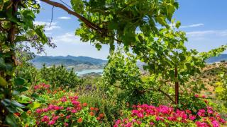 La Roca del Gastor by Ruralidays - 6