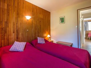 Appartement 2 chambres centre village proche pistes avec Wifi - FR-1-437-60 - La Clusaz - 1