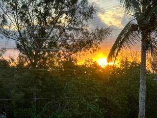 Tropical Terrace 3 - 3