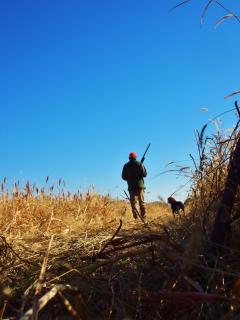 Beautiful Lodge And Private 600 Acre Canyon Paradise - 2