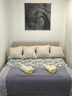 Planinska kuća Vladanka - planina Goč - banjska strana - preko puta ski staze - 0