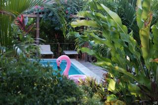 Still Salty Escape - 8