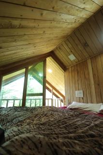 Himalayan Cedar Nest - 2