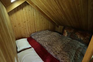 Himalayan Cedar Nest - 3