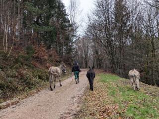 Gîte mon chez moi - 3