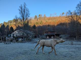 Gîte mon chez moi - 1