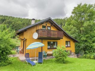 Holiday home near the ski area - Kurort Steinbach-Hallenberg - 3