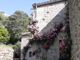 La Laguna - Los Loros - 8