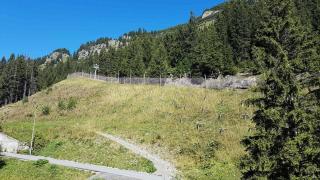 Residence De La Foret - Appartement confortable · Au pied des pistes MAE-9991 - Magland - 1