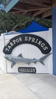 Cute 2B2B House, walk to Sponge Dock, Pet friendly - 1