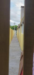 Yellow 08 - Guaratuba - 9