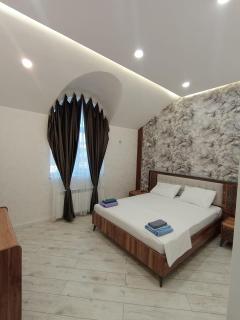 Gabala Villa Modern - Qəbələ - 2