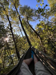 Tiny house los Lleuques - 4