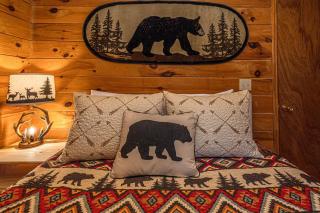 Fontana Woods Cabin - Bryson City - 1