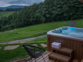 Villa with private pool - Prostřední Bečva - 7