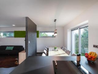 Apartment in Moravia near Ostrava Town - Frýdlant nad Ostravicí - 1