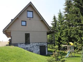 Villa in Dolní Morava near Ski Slopes - 3