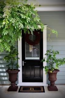 Briarwood - Greytown - 9