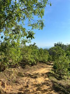 Tiger home stay Phayam - Ko Phayam - 4