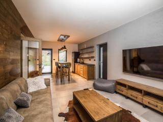 Villa in Bedrichov near ski resort - Bedřichov - 7