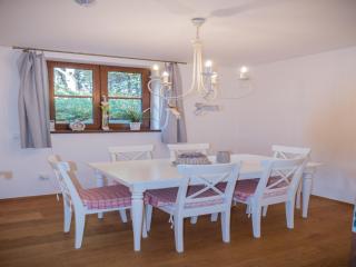 Villa in Bohemia with barbecue - Klíny - 9