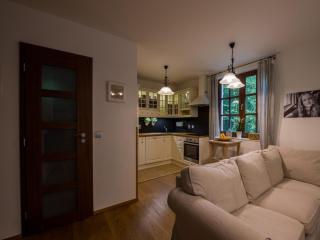 Villa in Bohemia with barbecue - Klíny - 1