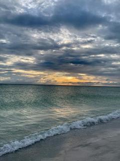 HiddenGem in Charming Sarasota, Florida - 8