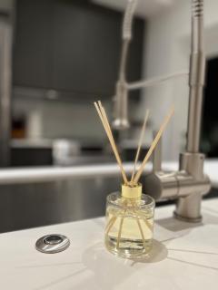 HiddenGem in Charming Sarasota, Florida - 5