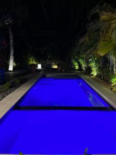 HiddenGem in Charming Sarasota, Florida - 3